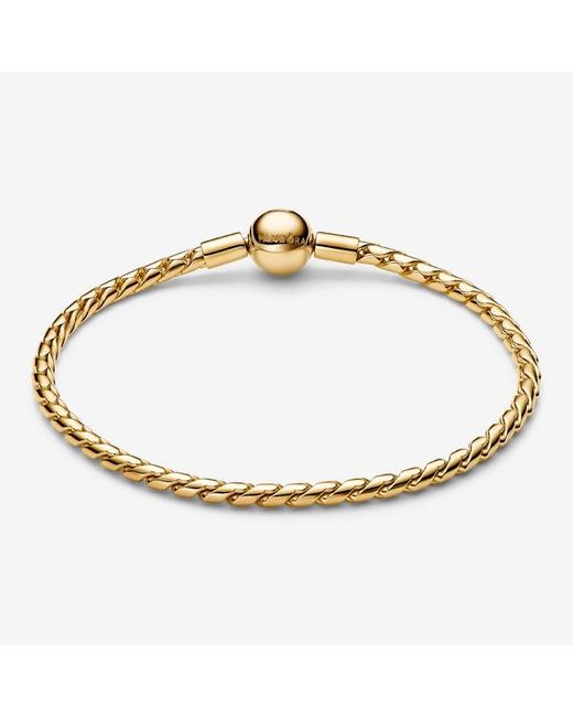 Pandora Metallic Round Clasp Wing Chain Bracelet