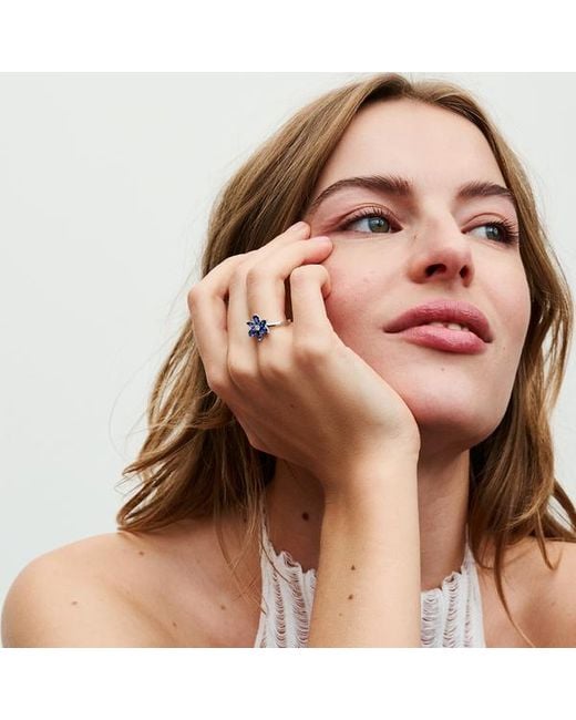 Pandora Timeless Herbarium Cluster Sterling Silver Ring With Princess Blue Crystal And Clear Cubic Zirconia