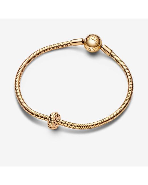 Pandora Metallic Studded Clip Charm