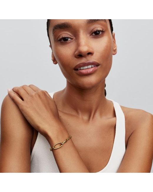 Pandora Metallic Openable Oval Link Chain Bracelet