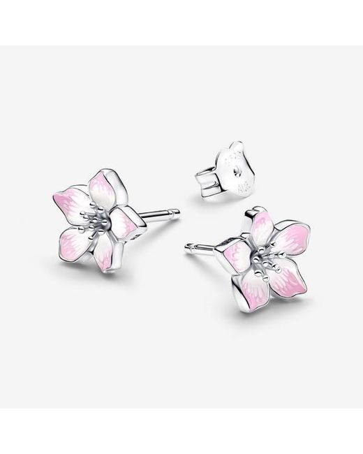 Pandora Pink Cherry Blossom Stud Earrings