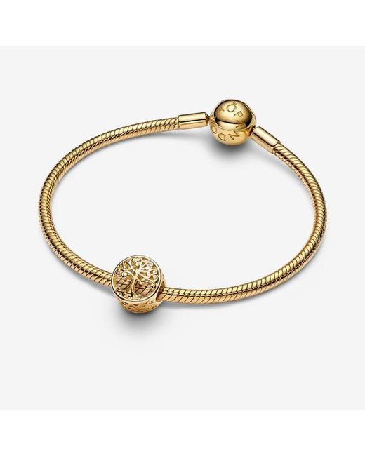 Pandora Metallic Openwork Family Roots Charm