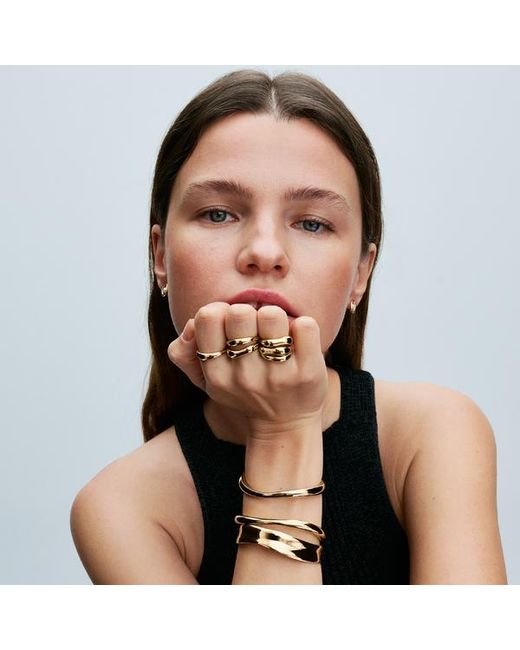 Pandora Metallic Organically Shaped Stacking Rings