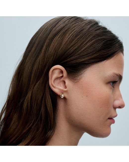 Pandora Metallic Organically Shaped Oval & Treated Freshwater Cultured Pearl Stud Earrings