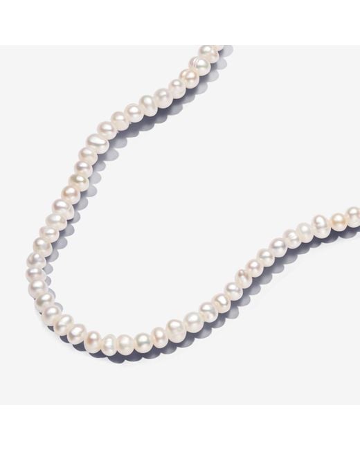 Pandora Metallic Treated Freshwater Cultured Pearls T-bar Collier Necklace