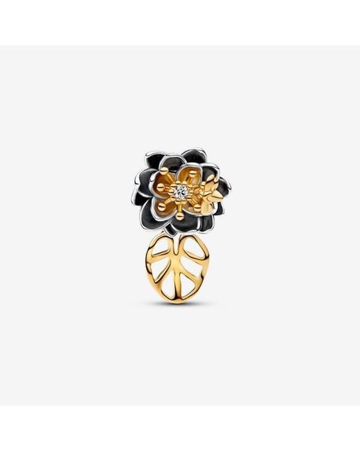 Pandora Metallic Disney Princess Tiana Water Lily Flower Lab Grown Diamond Charm
