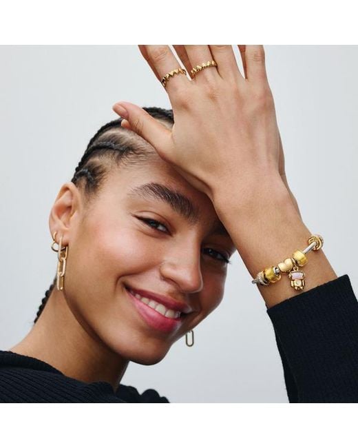 Pandora Metallic Sparkling Row Clip Charm