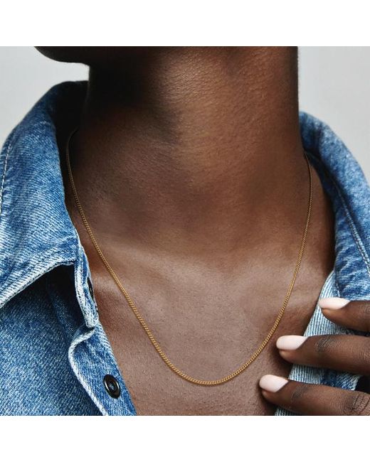 Pandora Metallic Curb Chain Necklace