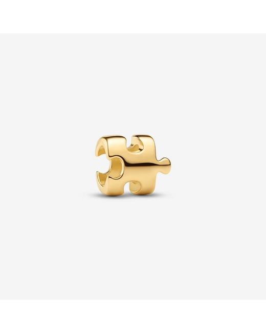 Pandora Metallic Puzzle Piece Mini Charm