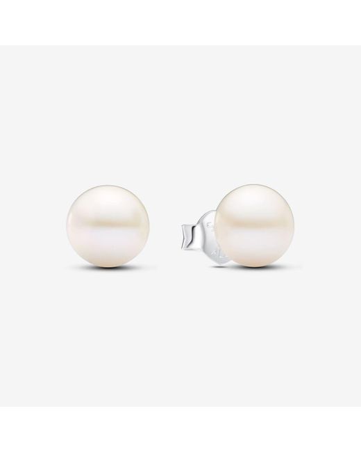 Pandora White Treated Freshwater Cultured Pearl 7mm Stud Earrings
