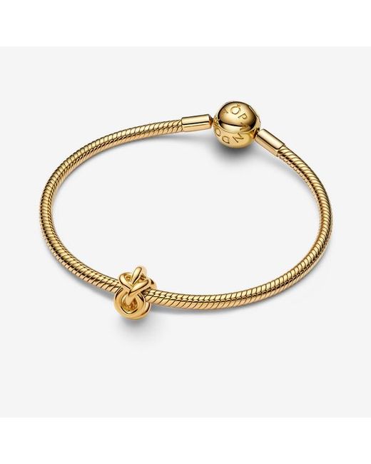 Pandora Metallic Infinity Knot Charm