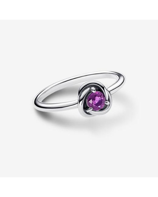 Pandora Purple February Birthstone Eternity Circle Ring