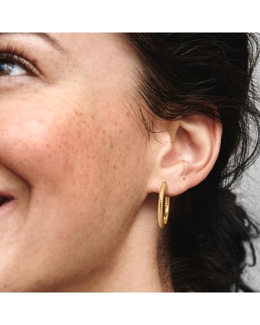 Pandora Metallic Moments Small Charm Hoop Earrings
