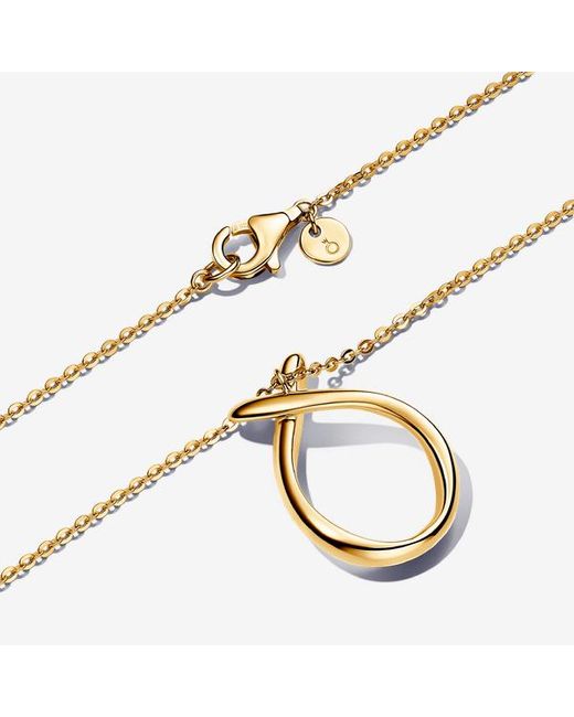Pandora Organisch Gevormde Ketting Met Hanger in het Metallic