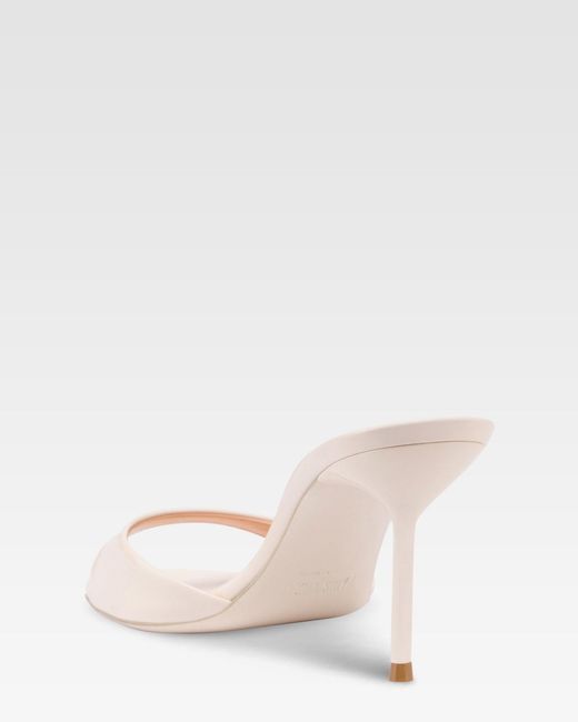 Paris Texas Natural Mules