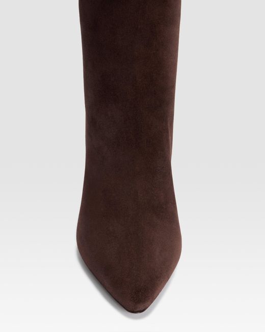 Paris Texas Brown Suede Ankle Boot