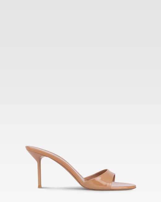 Paris Texas Natural Mules