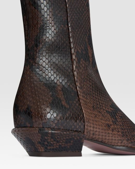 Paris Texas Black Python-Print Leather Ankle Boot