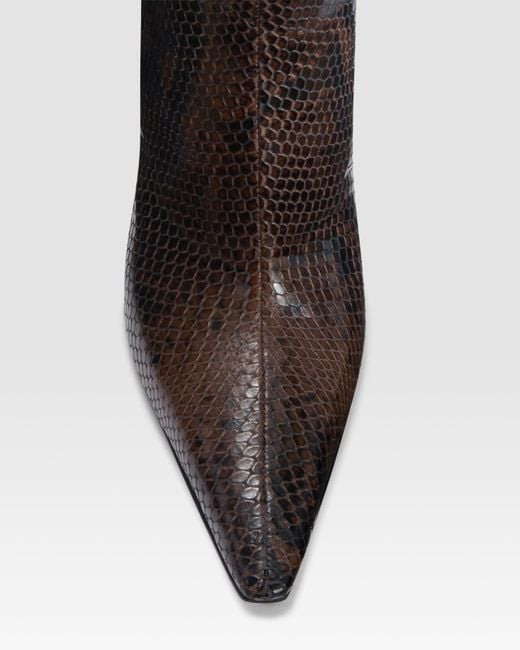 Paris Texas Black Python-Print Leather Ankle Boot