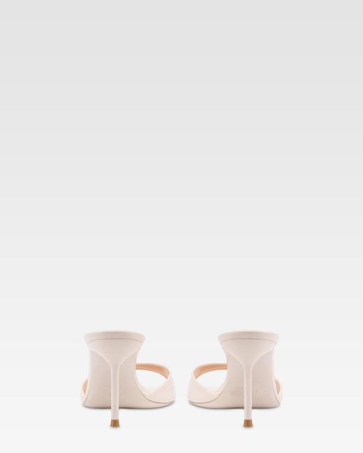 Paris Texas Natural Mules