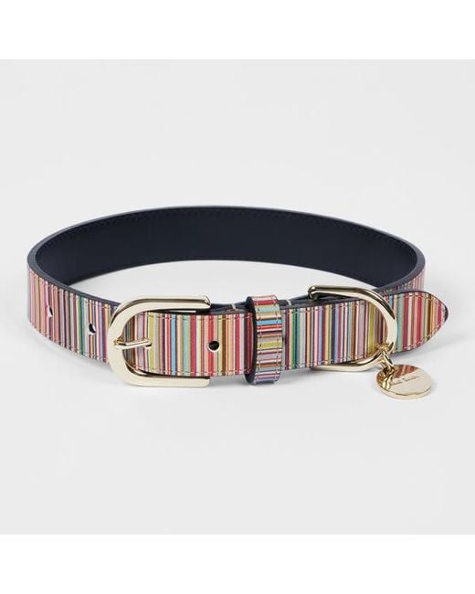 Paul Smith Blue 'Signature Stripe' Calf Leather Dog Collar Medium/Large for men
