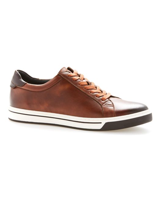 Perry Ellis Brown Burnished Leather Sneaker for men