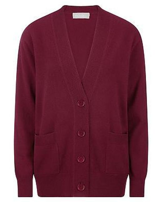 include Vest 100% Kasjmier Van in het Red