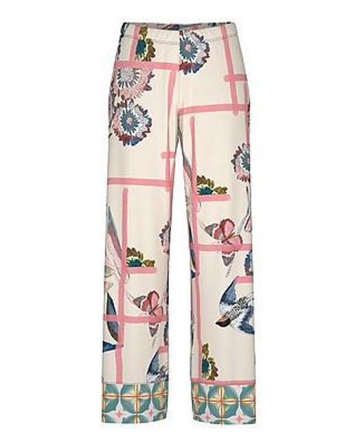 Mey Broek Van in het White