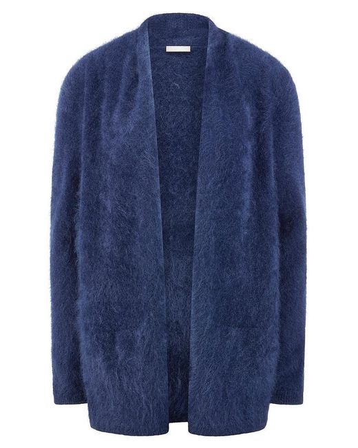 Peter Hahn Vest Van in het Blue
