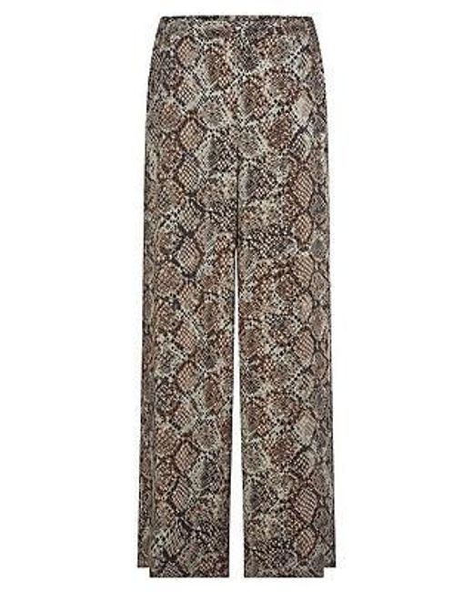 St. Emile Broek Van in het Multicolor
