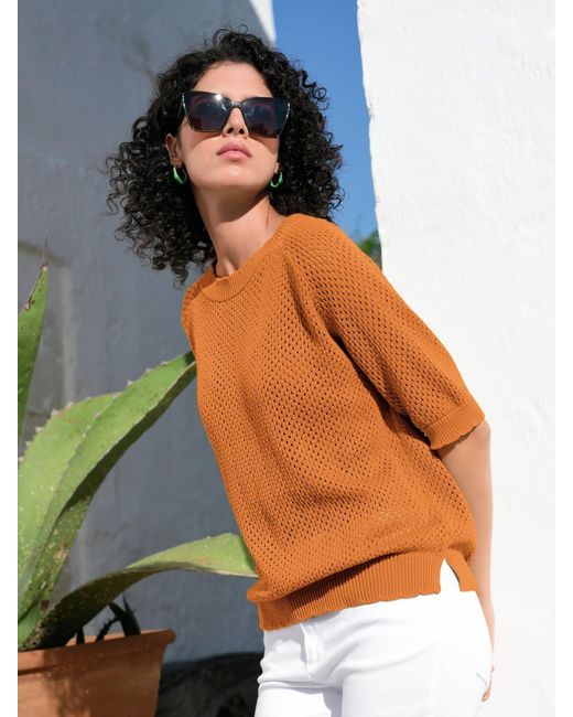Peter Hahn Brown Rundhals-Pullover