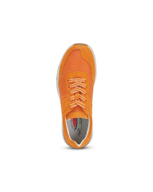 Peter Hahn Orange Gabor