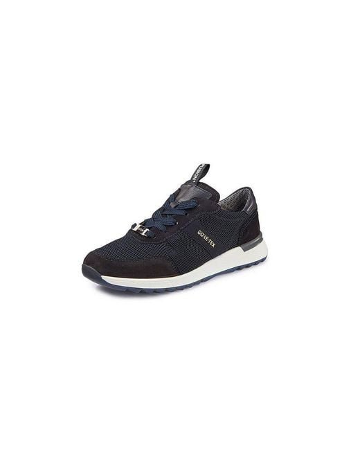 Ara Blue Sneaker venice sport highsoft