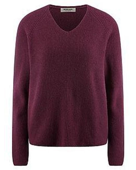 Peter Hahn Purple V-Pullover Aus 100% Kaschmir