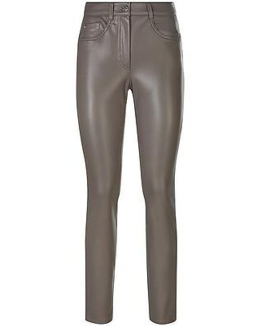 Basler Broek Van in het Gray