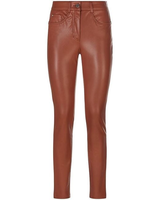 Basler Brown Hose, Gr