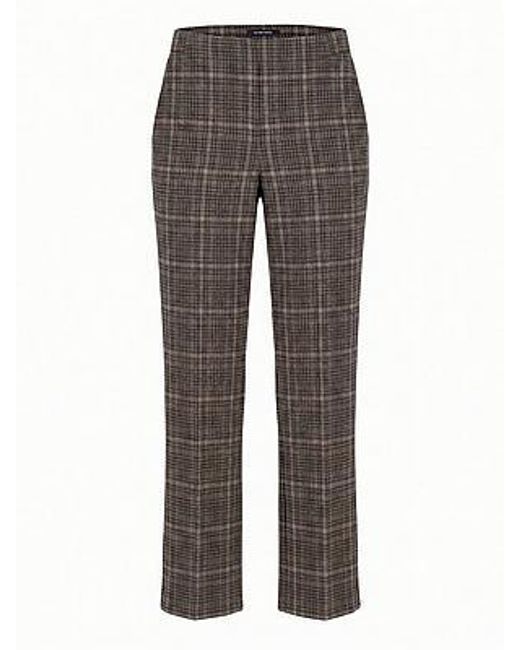 Peter Hahn Broek Van in het Gray