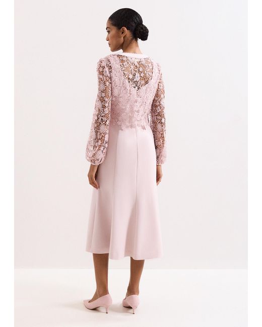 Phase Eight Pink Petite Ayumi Lace Top Midi Dress