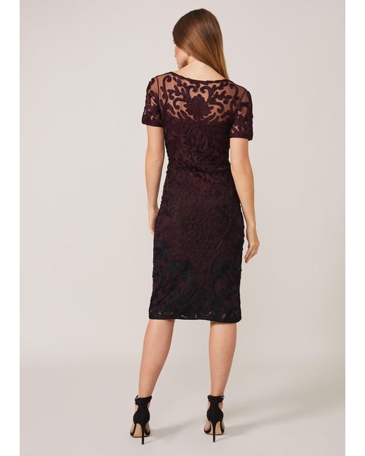 Phase Eight Black Kadie Cap Sleeve Tapework Dress