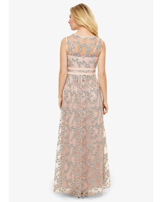 Phase Eight Multicolor Coraline Lace Dress
