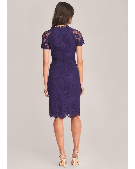 Phase Eight Purple Mirabel Lace Dress