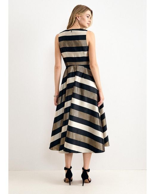 Phase Eight White Petite Delicia Fit And Flare Stripe Dress
