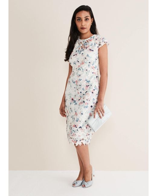 Phase Eight White 's Petite Franky Floral Lace Dress
