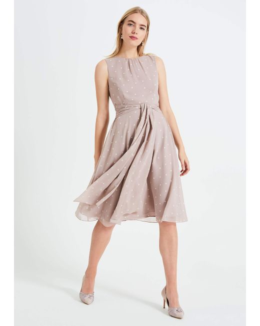phase eight nico spot dress