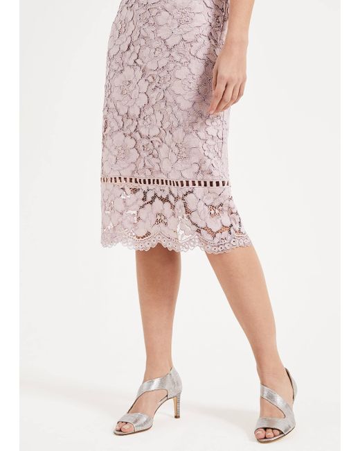 phase eight harmony lace dress