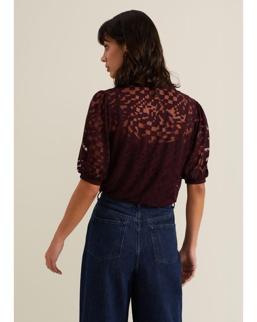 Phase Eight Brown Cleo Checkered Burnout Top