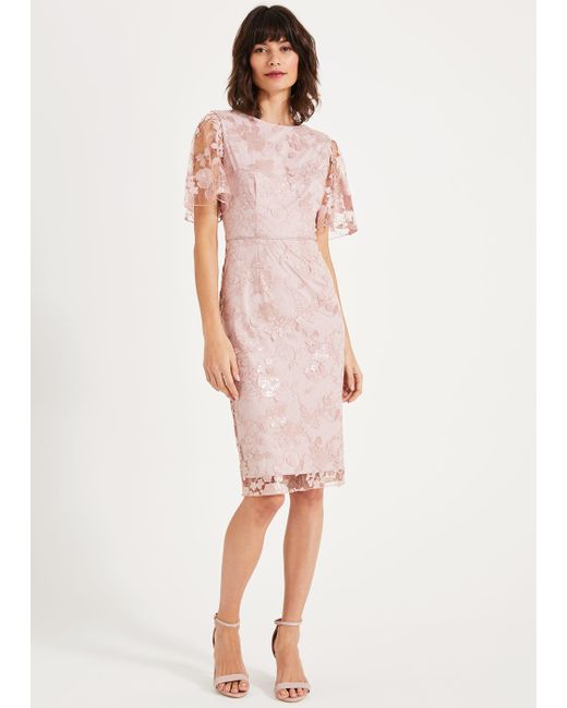 phase eight cecilia dress