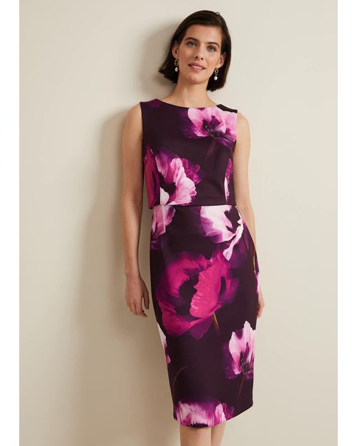 Phase Eight Pink Christie Printed Scuba Midi Dress