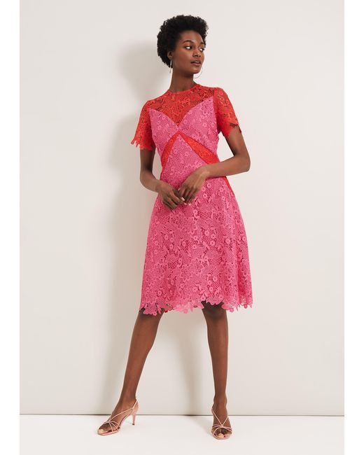 Phase Eight Pink Adona Lace Dress