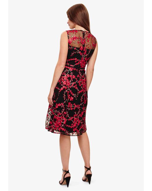 phase eight sable embroidered dress pink